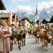 Österreich Traditionen [2026]: 11 echte Feste & Bräuche